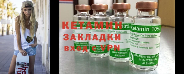 индика Бородино