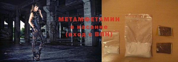 индика Бородино