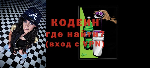 индика Бородино