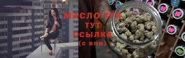 индика Бородино