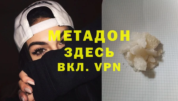 индика Бородино