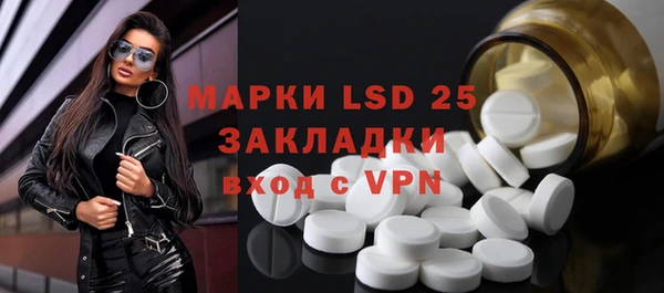 индика Бородино