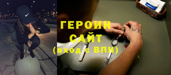 индика Бородино