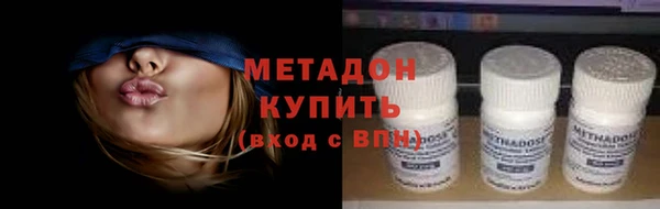 индика Бородино