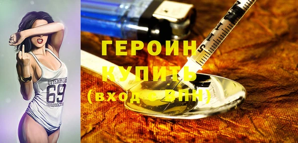 индика Бородино