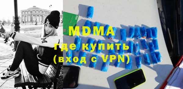 индика Бородино