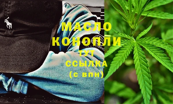 индика Бородино
