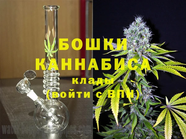 индика Бородино