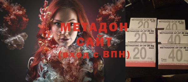индика Бородино