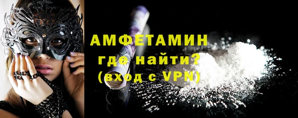 индика Бородино