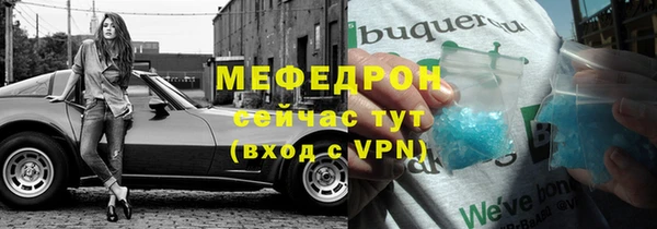 индика Бородино