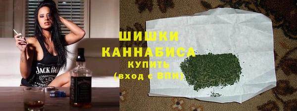 индика Бородино