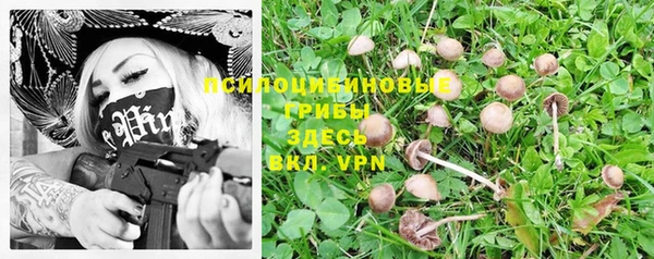 индика Бородино